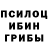 Галлюциногенные грибы Psilocybine cubensis Yakov Maretskii