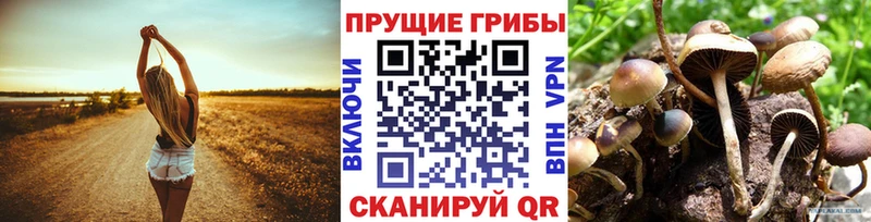 наркота блэк спрут зеркало Галлюциногенные грибы мухоморы Кореновск